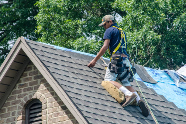 Best Flat Roof Repair Services  in Comstock Park, MI